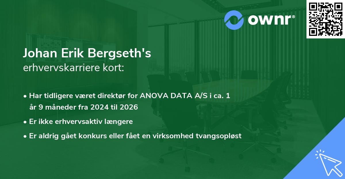 Johan Erik Bergseth's erhvervskarriere kort