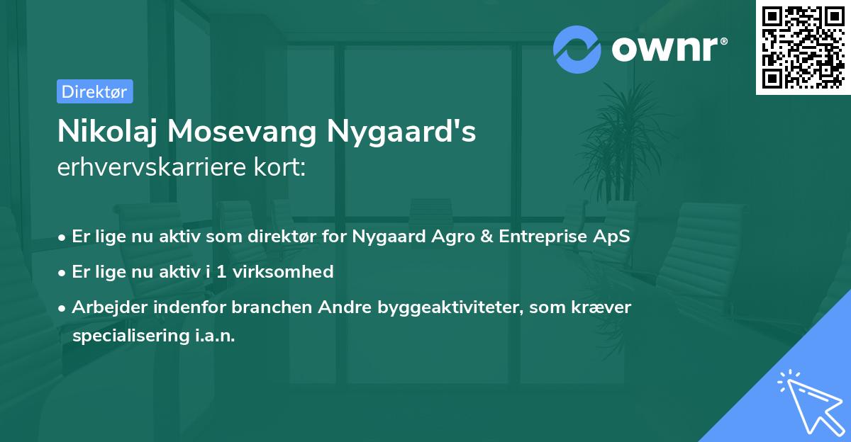 Nikolaj Mosevang Nygaard's erhvervskarriere kort