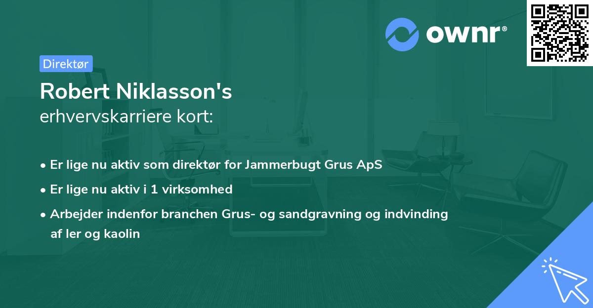 Robert Niklasson's erhvervskarriere kort
