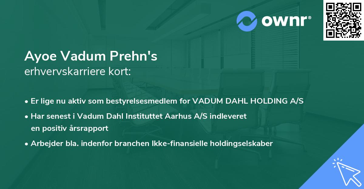 Ayoe Vadum Prehn's erhvervskarriere kort