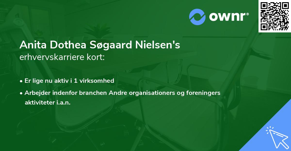 Anita Dothea Søgaard Nielsen's erhvervskarriere kort