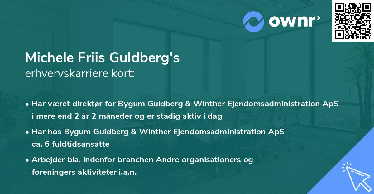 Michele Friis Guldberg's erhvervskarriere kort