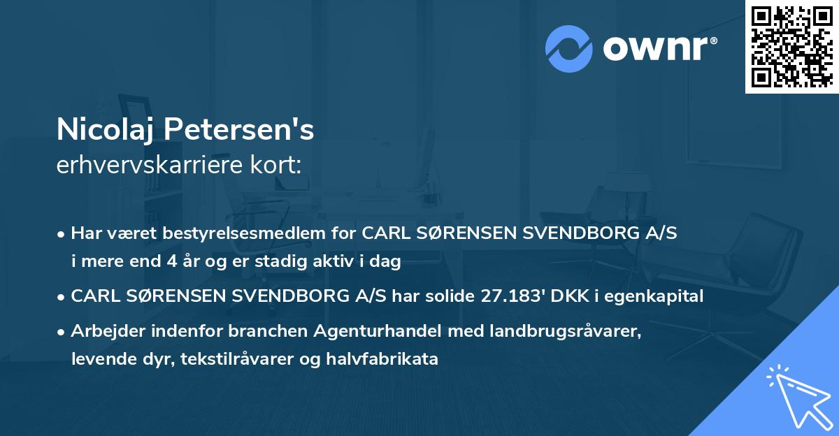 Nicolaj Petersen's erhvervskarriere kort