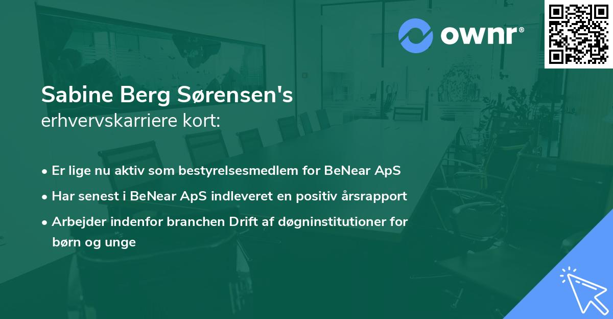 Sabine Berg Sørensen's erhvervskarriere kort