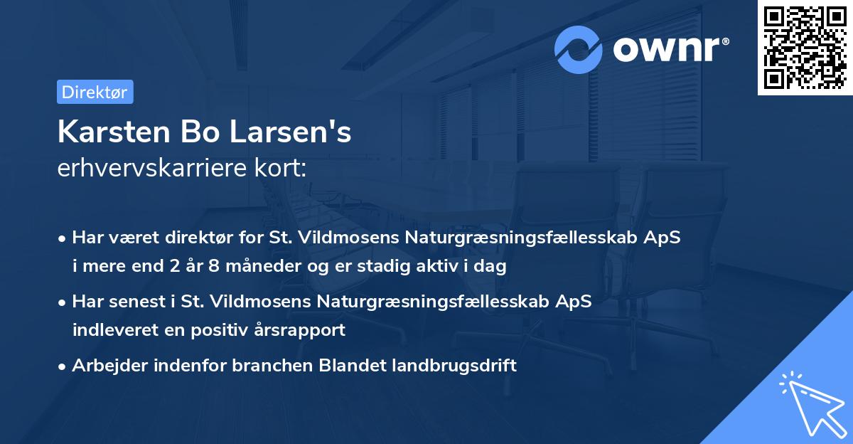 Karsten Bo Larsen's erhvervskarriere kort