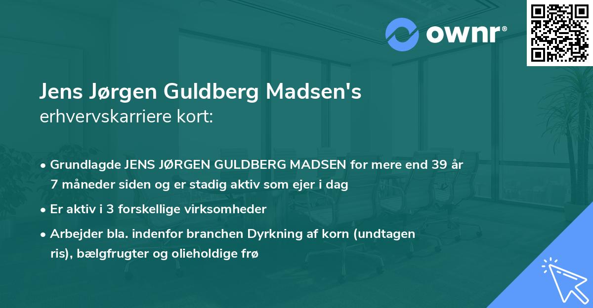 Jens Jørgen Guldberg Madsen's erhvervskarriere kort