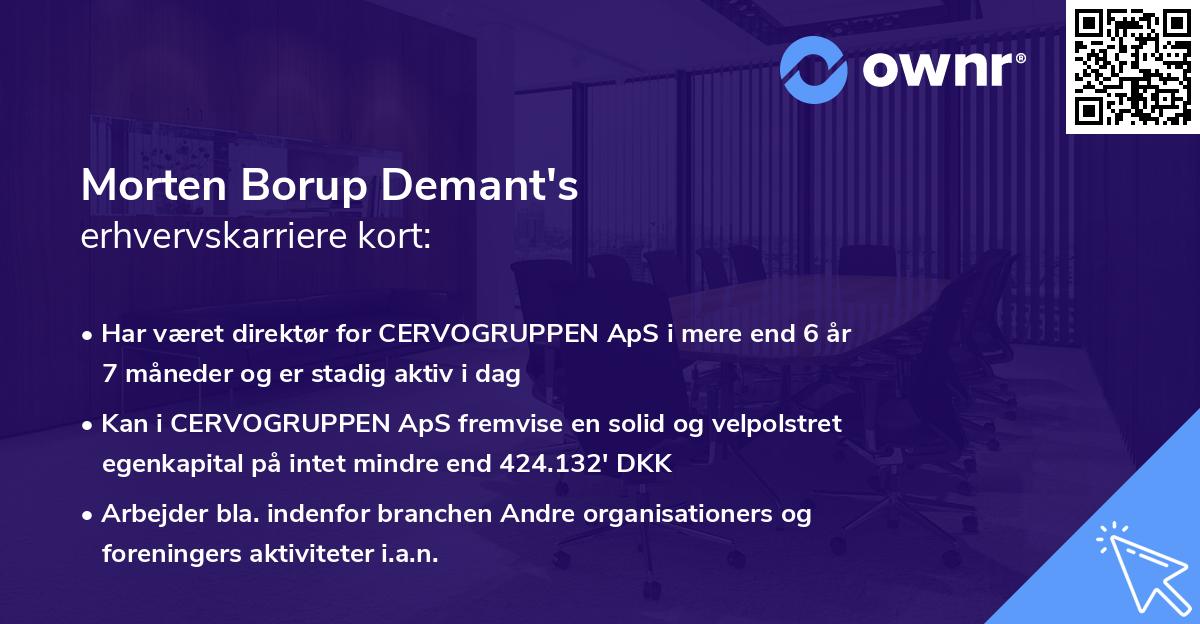 Morten Borup Demant's erhvervskarriere kort