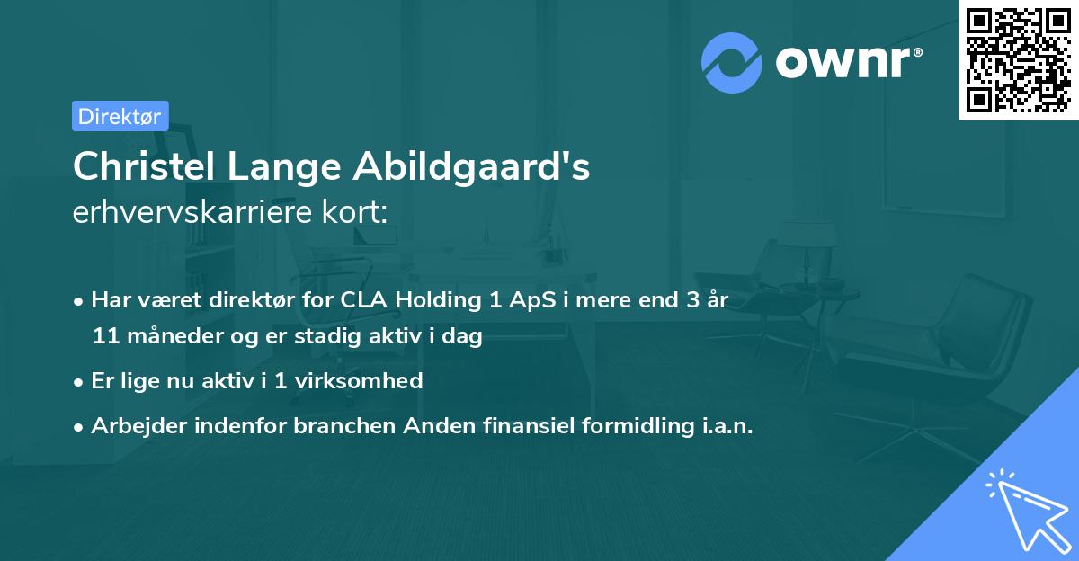 Christel Lange Abildgaard's erhvervskarriere kort