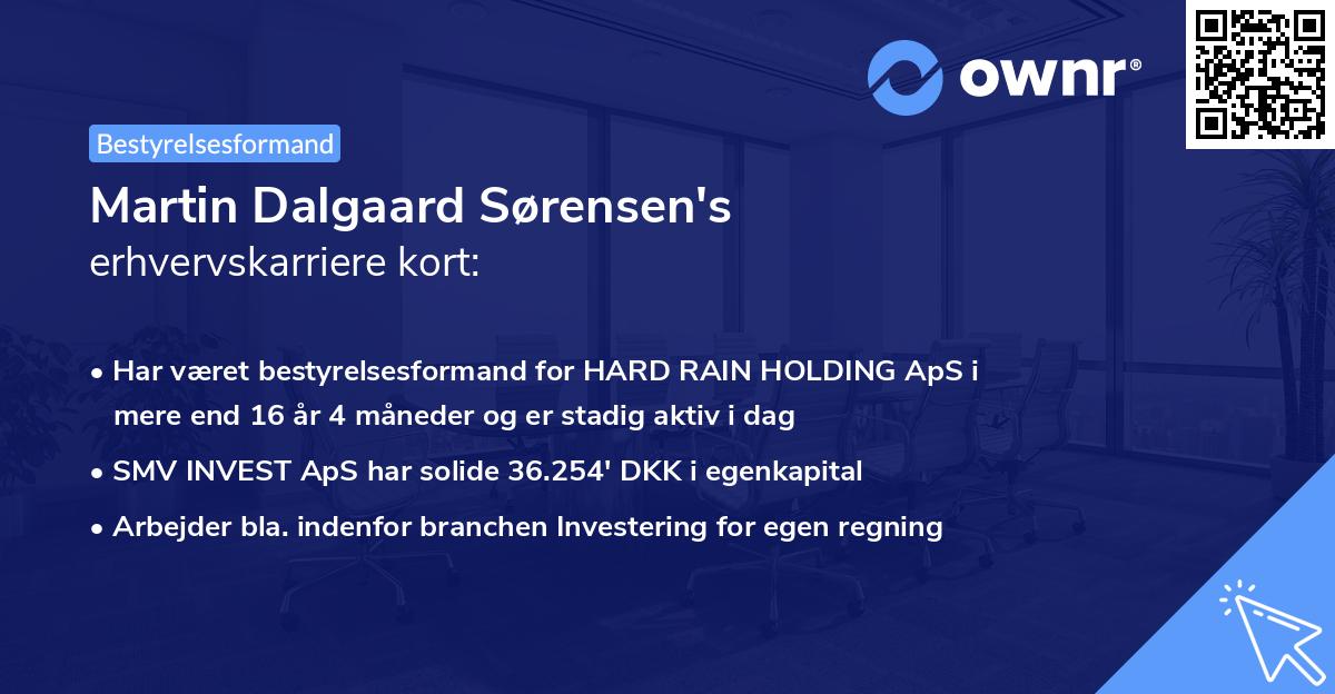 Martin Dalgaard Sørensen's erhvervskarriere kort
