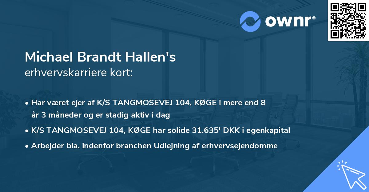 Michael Brandt Hallen's erhvervskarriere kort