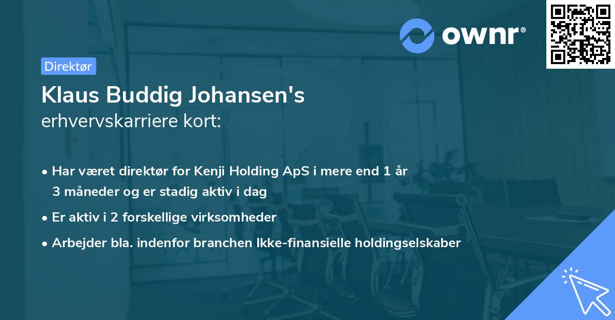 Klaus Buddig Johansen's erhvervskarriere kort