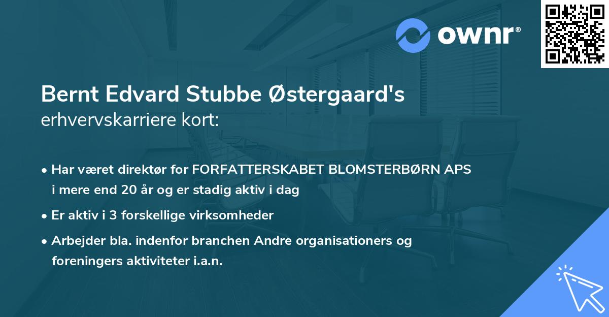 Bernt Edvard Stubbe Østergaard's erhvervskarriere kort