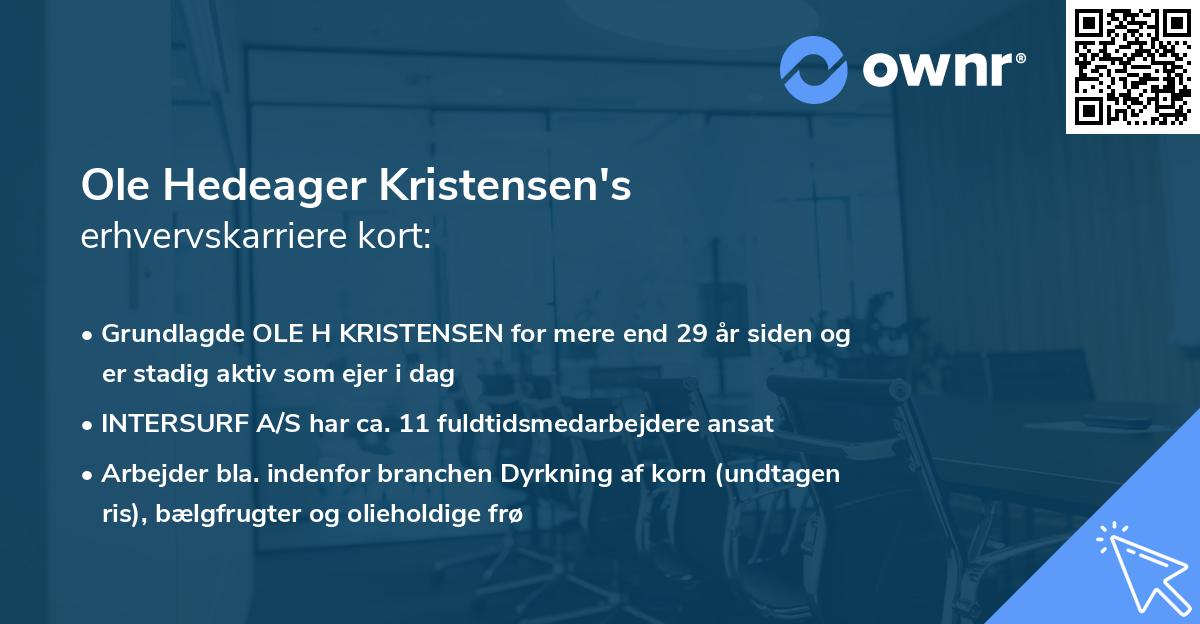 Ole Hedeager Kristensen's erhvervskarriere kort