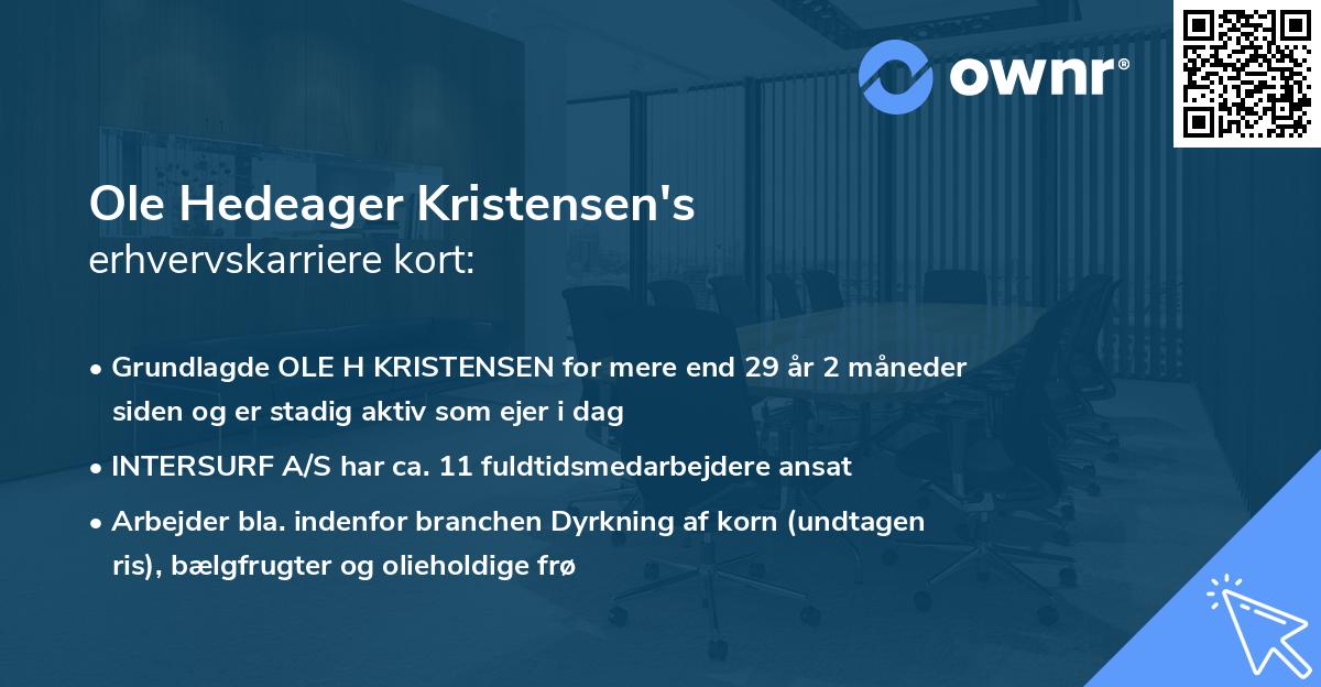 Ole Hedeager Kristensen's erhvervskarriere kort