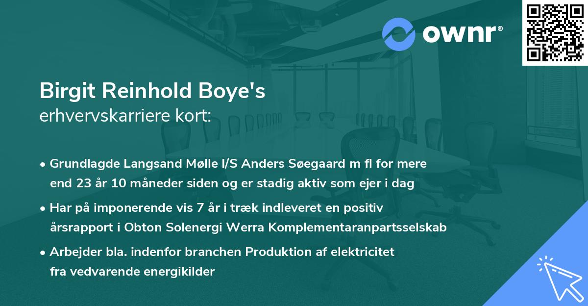 Birgit Reinhold Boye's erhvervskarriere kort