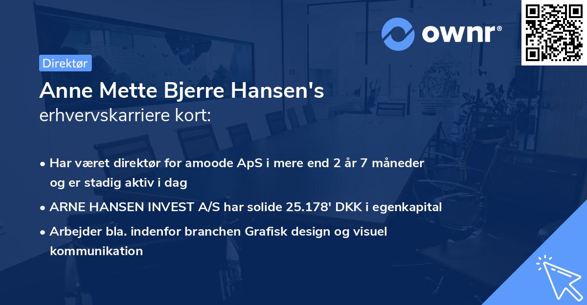 Anne Mette Bjerre Hansen's erhvervskarriere kort