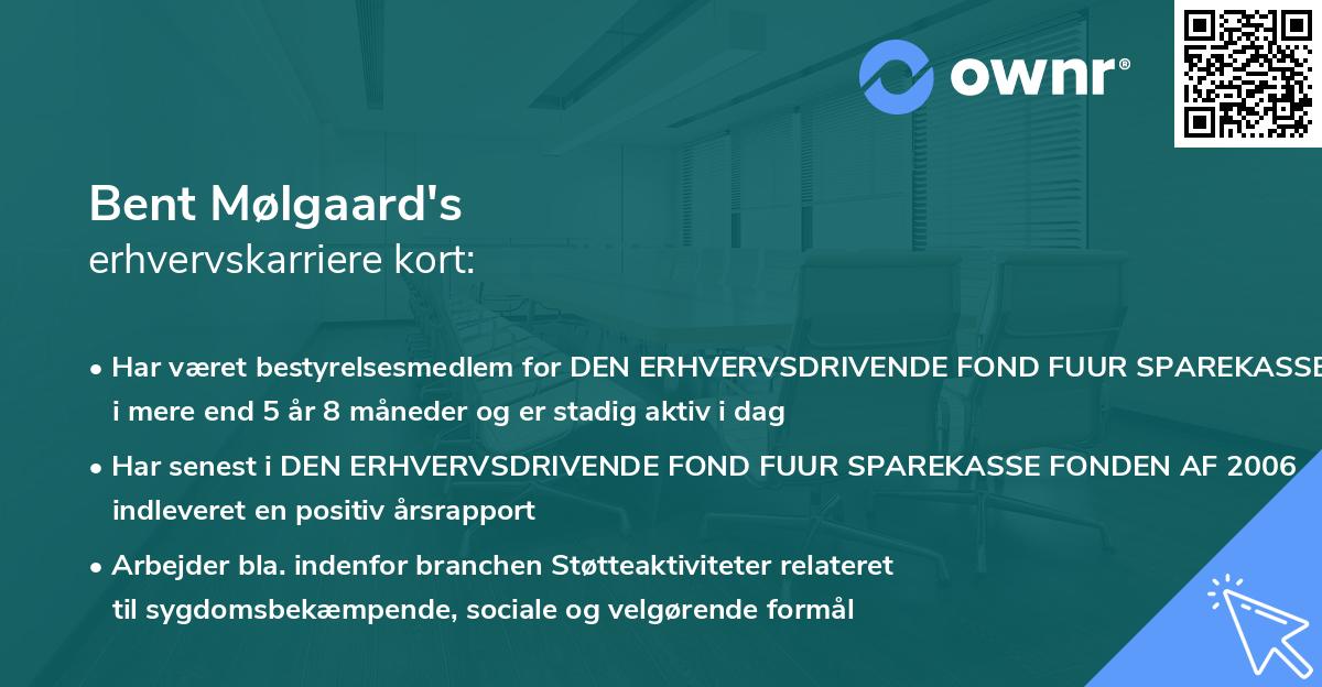 Bent Mølgaard's erhvervskarriere kort