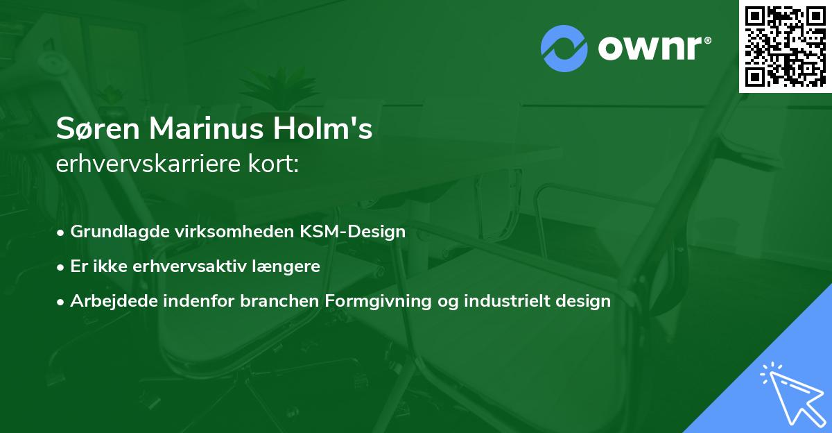 Søren Marinus Holm's erhvervskarriere kort