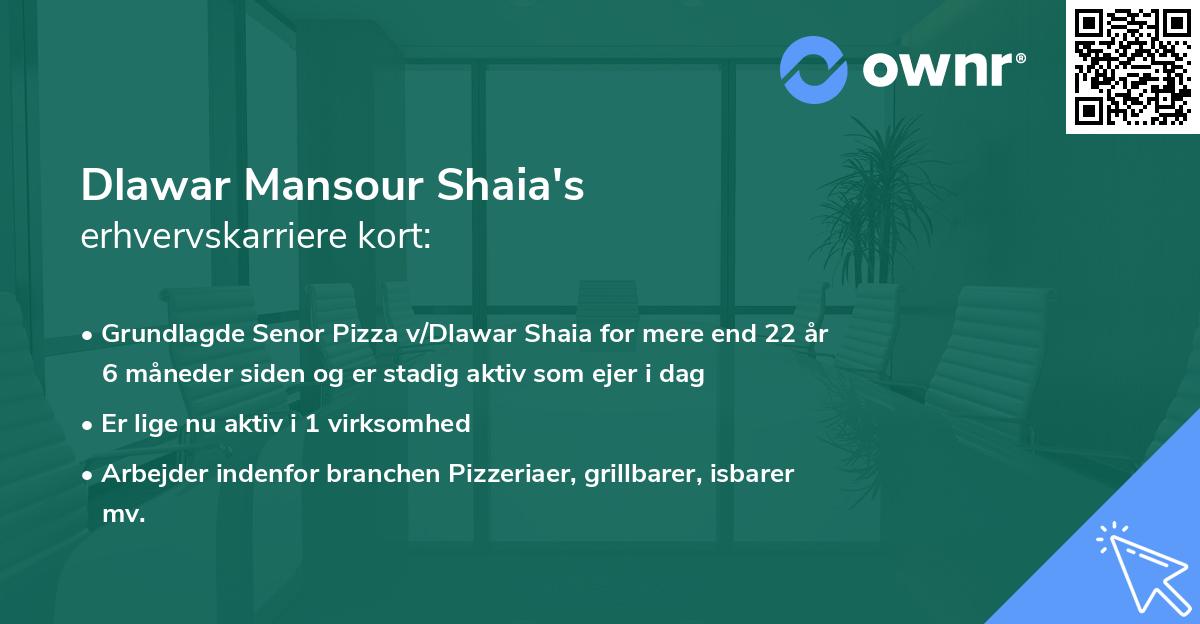 Dlawar Mansour Shaia's erhvervskarriere kort