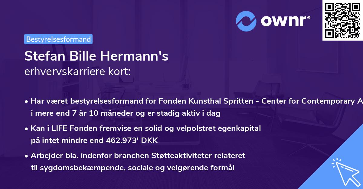 Stefan Bille Hermann's erhvervskarriere kort