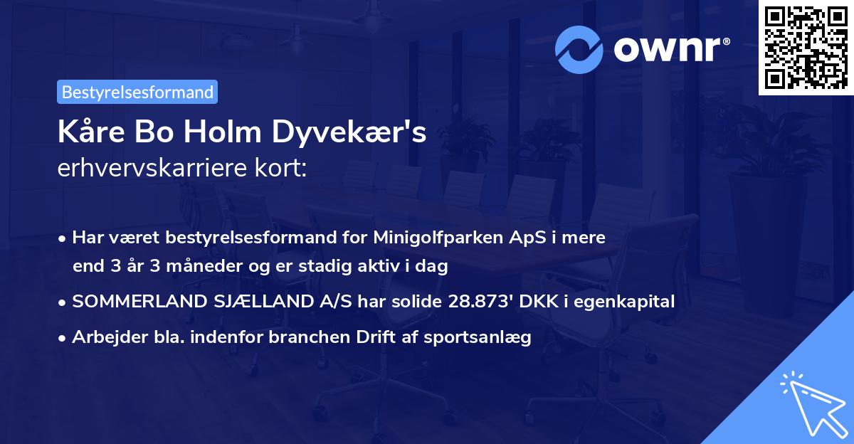 Kåre Bo Holm Dyvekær's erhvervskarriere kort