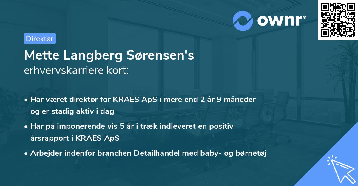 Mette Langberg Sørensen's erhvervskarriere kort