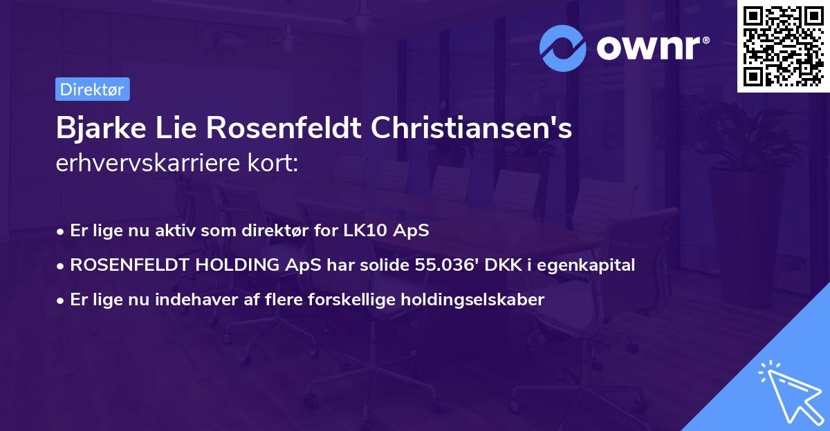 Bjarke Lie Rosenfeldt Christiansen's erhvervskarriere kort