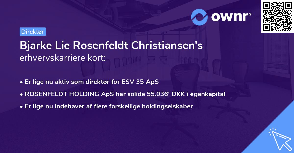 Bjarke Lie Rosenfeldt Christiansen's erhvervskarriere kort