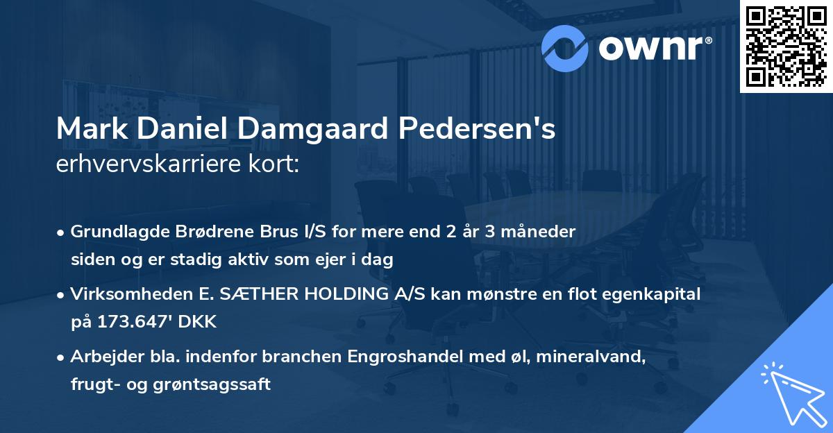 Mark Daniel Damgaard Pedersen's erhvervskarriere kort
