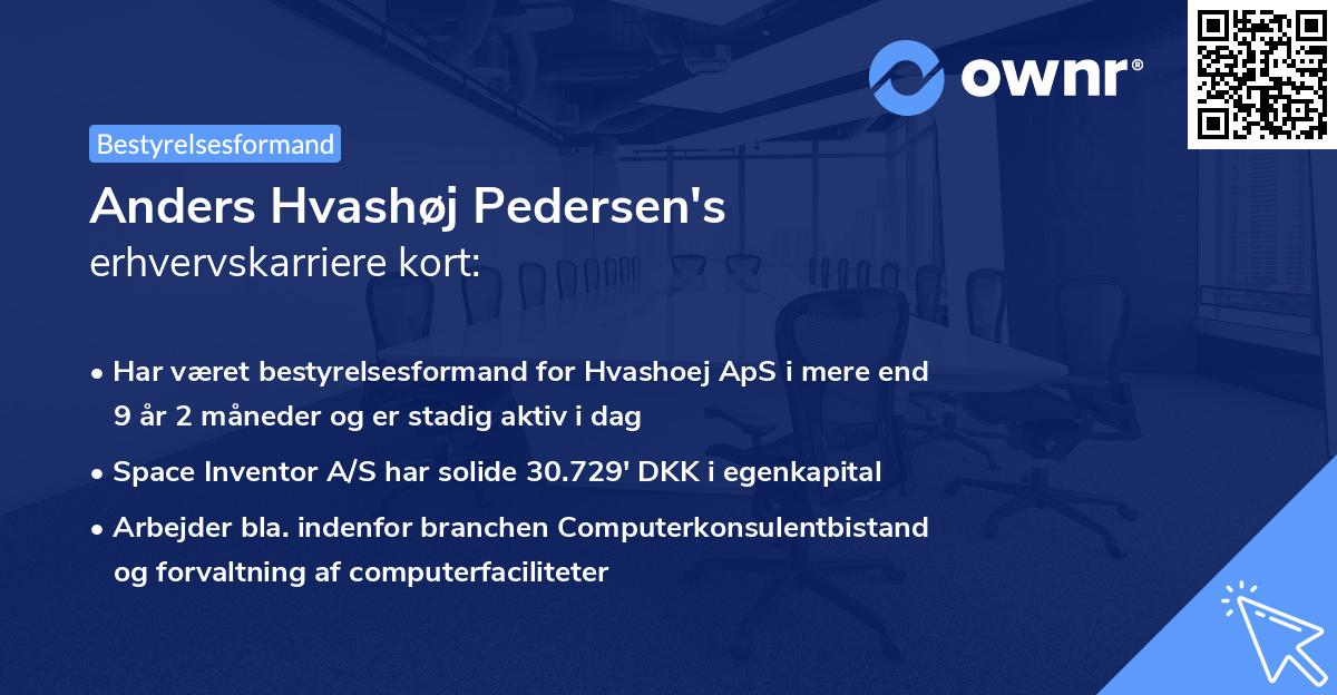 Anders Hvashøj Pedersen's erhvervskarriere kort