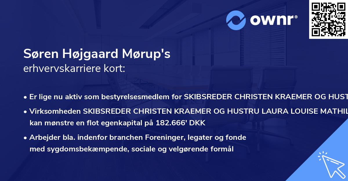 Søren Højgaard Mørup's erhvervskarriere kort