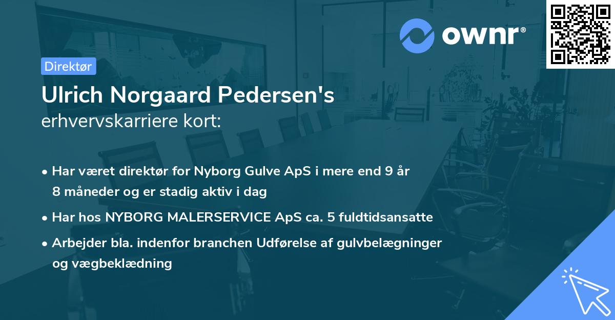 Ulrich Norgaard Pedersen's erhvervskarriere kort