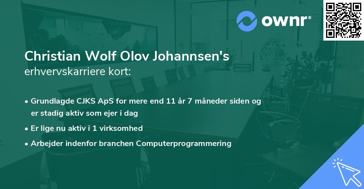 Christian Wolf Olov Johannsen's erhvervskarriere kort