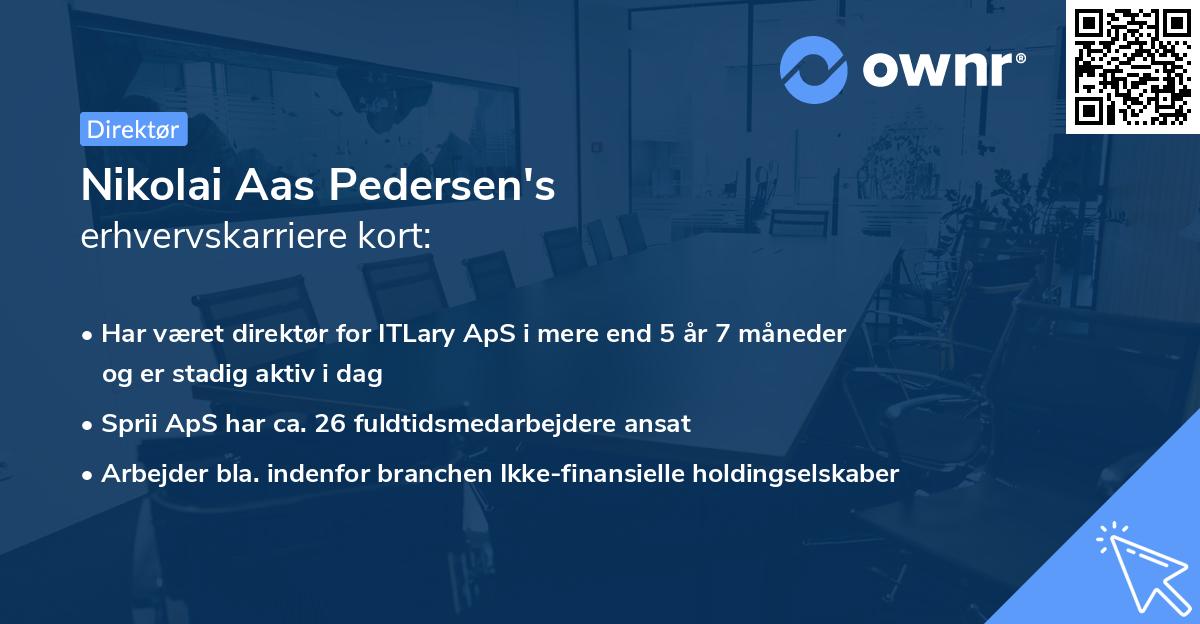 Nikolai Aas Pedersen's erhvervskarriere kort