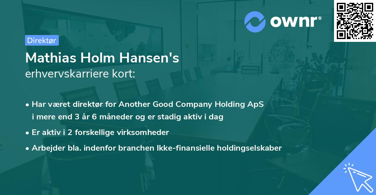 Mathias Holm Hansen's erhvervskarriere kort
