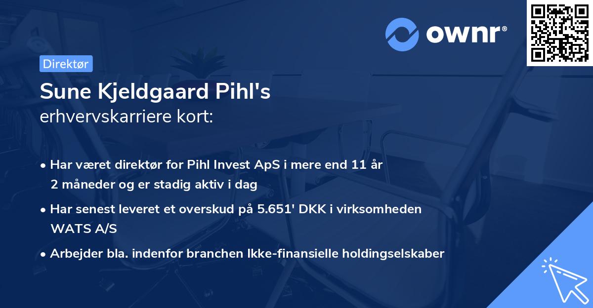 Sune Kjeldgaard Pihl's erhvervskarriere kort