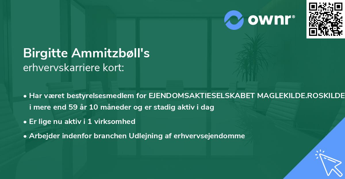 Birgitte Ammitzbøll's erhvervskarriere kort