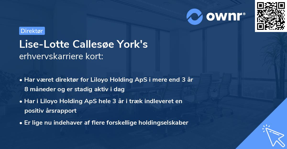 Lise-Lotte Callesøe York's erhvervskarriere kort