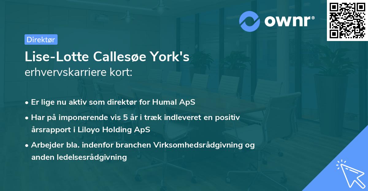 Lise-Lotte Callesøe York's erhvervskarriere kort