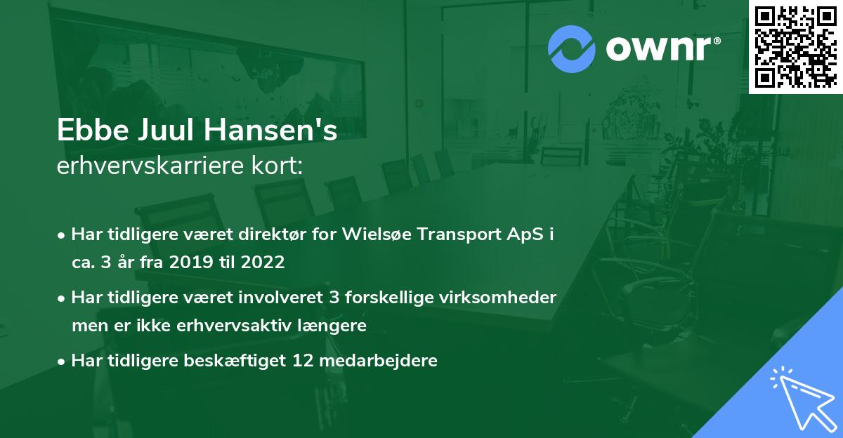 Ebbe Juul Hansen's erhvervskarriere kort