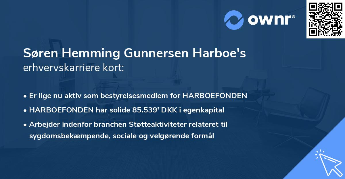 Søren Hemming Gunnersen Harboe's erhvervskarriere kort