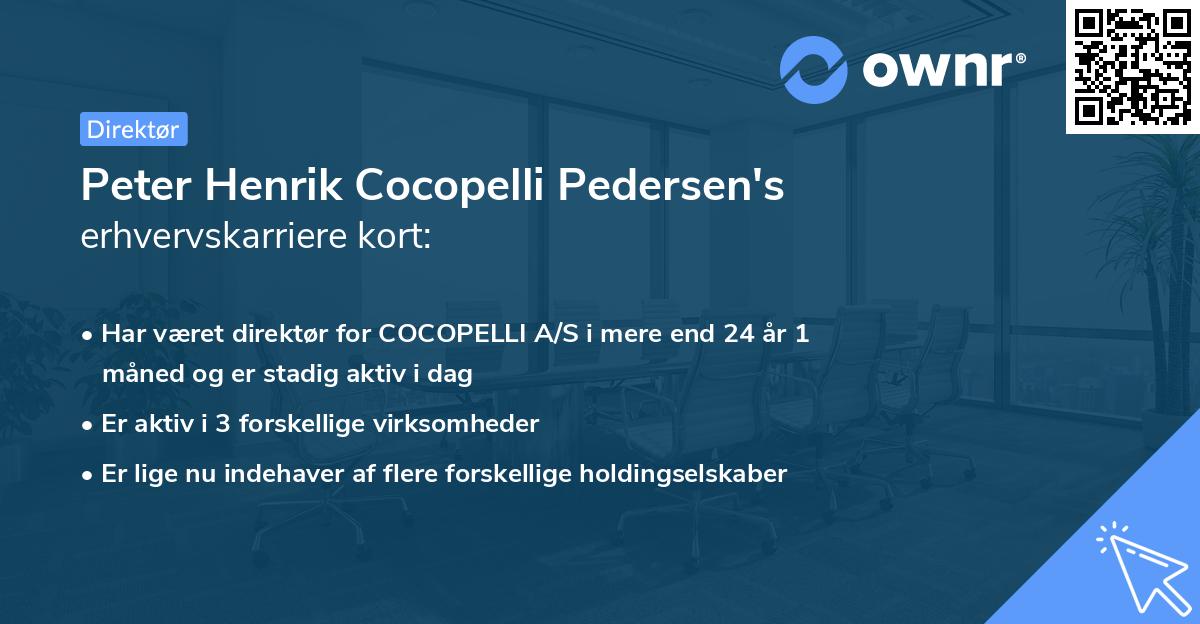 Peter Henrik Cocopelli Pedersen's erhvervskarriere kort