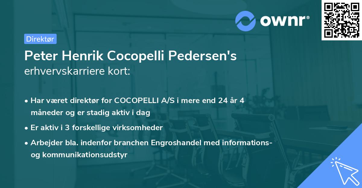 Peter Henrik Cocopelli Pedersen's erhvervskarriere kort