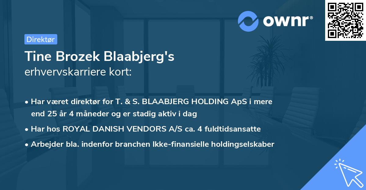 Tine Brozek Blaabjerg's erhvervskarriere kort