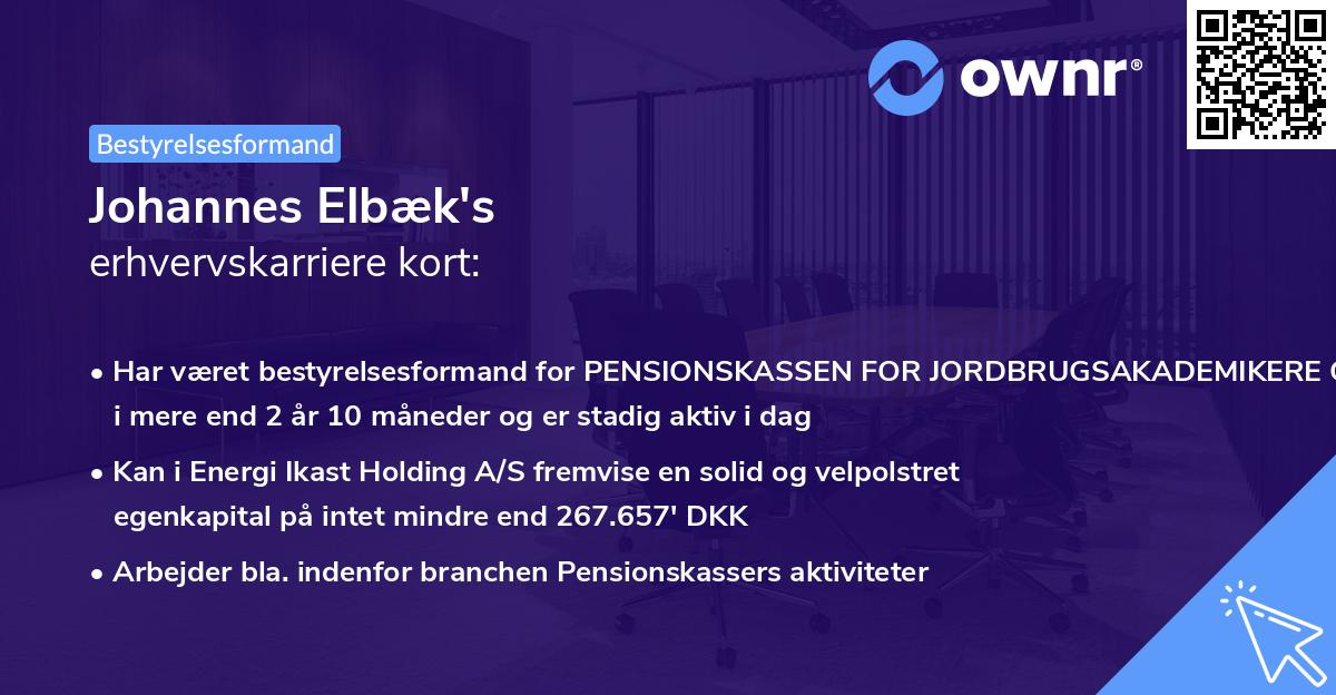 Johannes Elbæk's erhvervskarriere kort