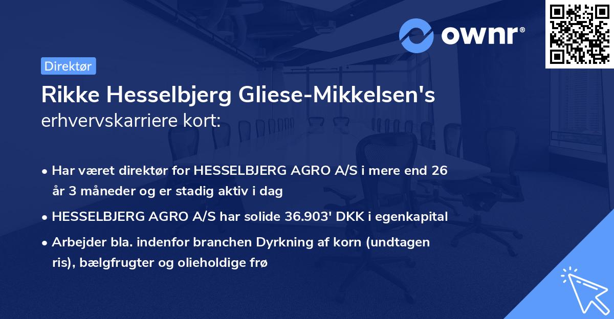 Rikke Hesselbjerg Gliese-Mikkelsen's erhvervskarriere kort