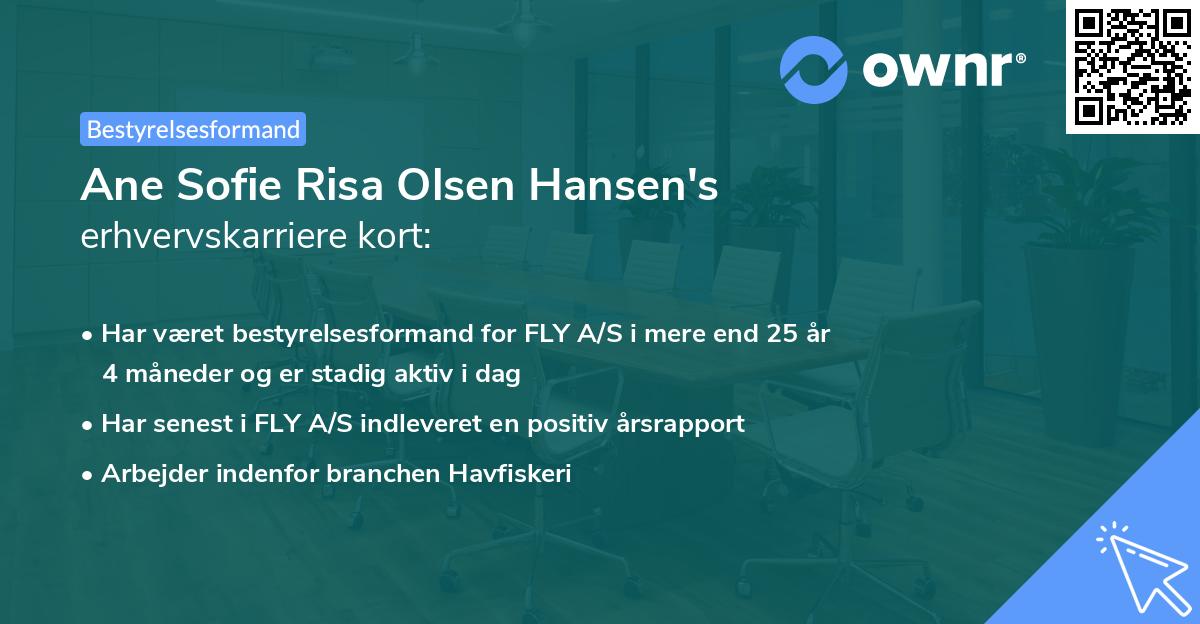 Ane Sofie Risa Olsen Hansen's erhvervskarriere kort