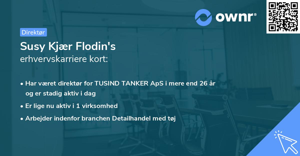 Susy Kjær Flodin's erhvervskarriere kort