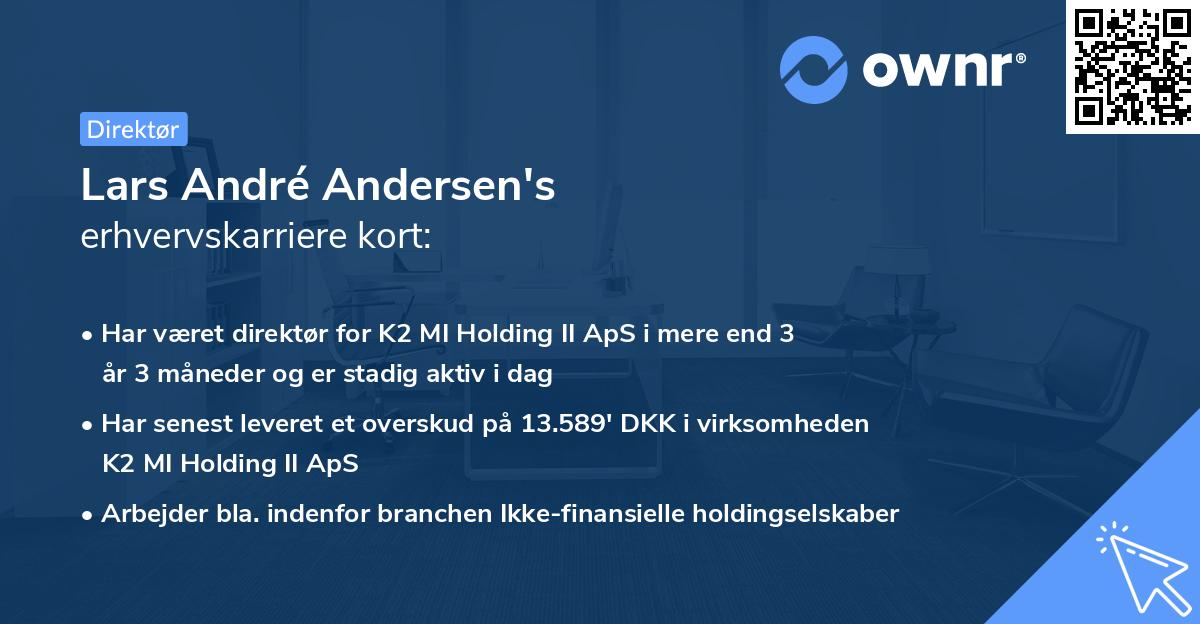 Lars André Andersen's erhvervskarriere kort