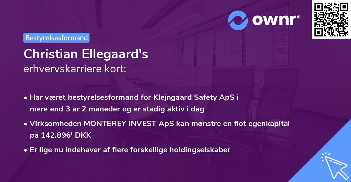 Christian Ellegaard's erhvervskarriere kort